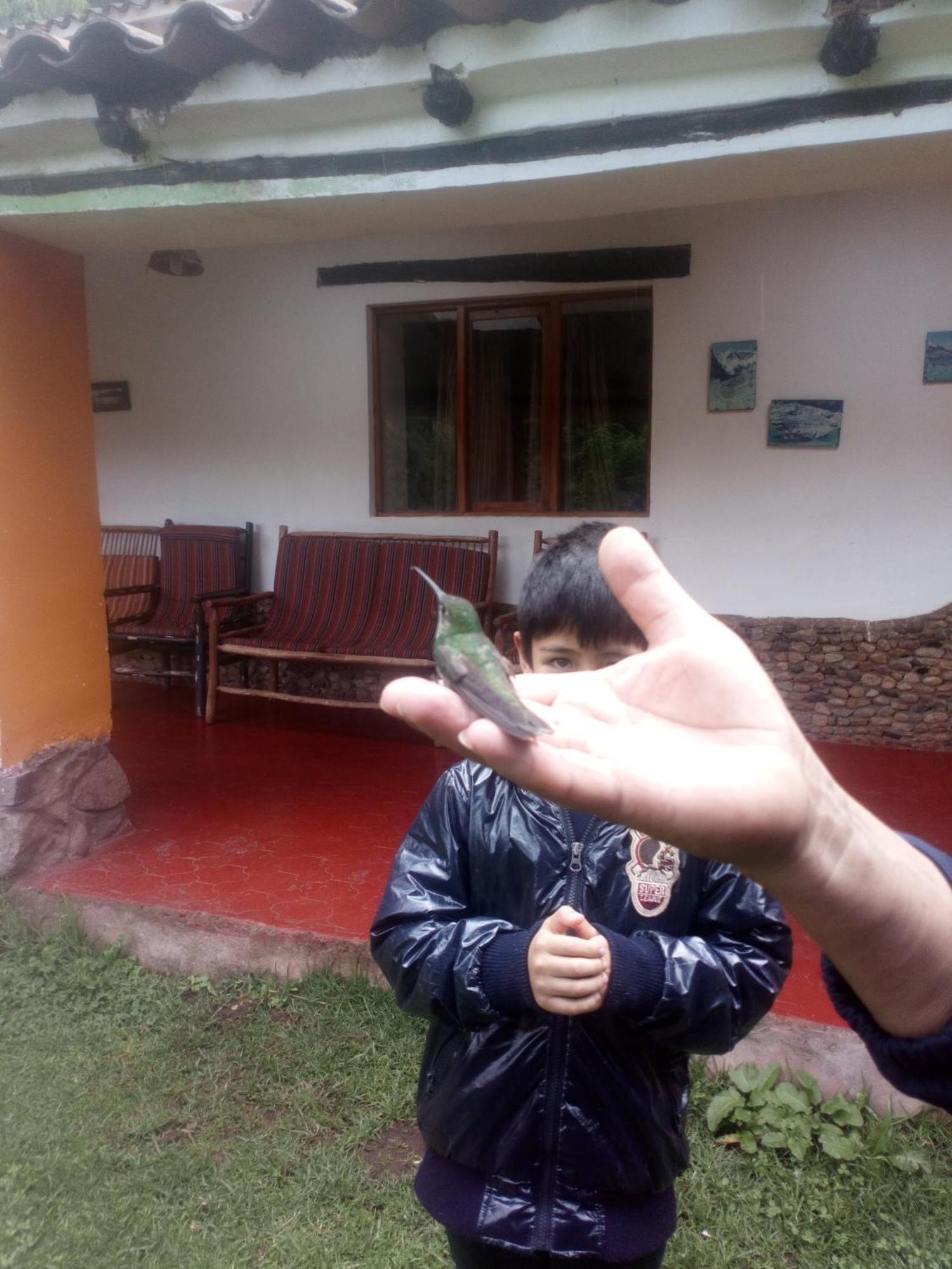 Ecolodge Ccatan Урубамба Екстер'єр фото
