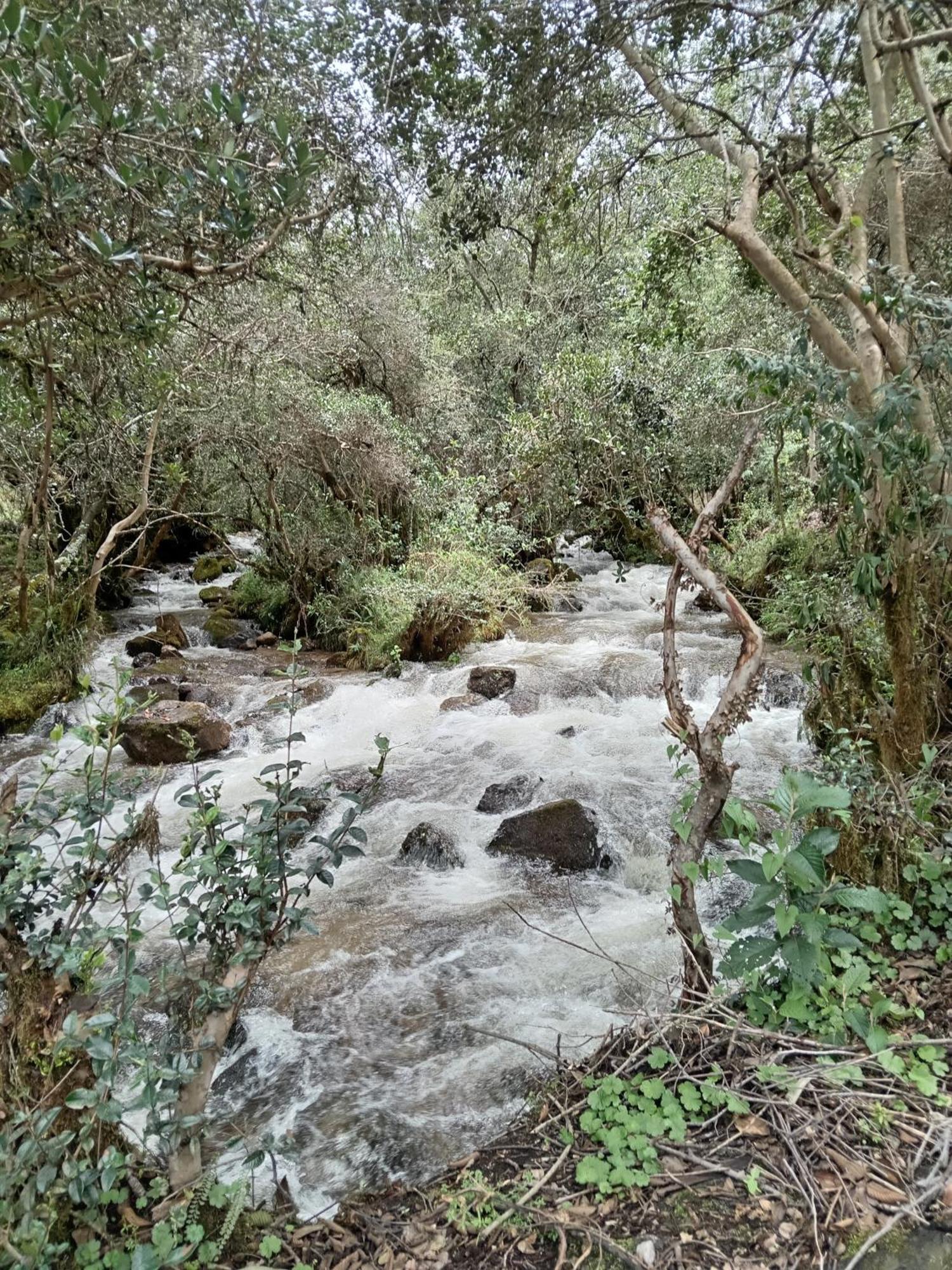 Ecolodge Ccatan Урубамба Екстер'єр фото